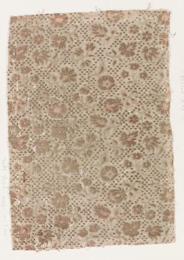Fragment