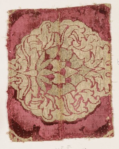 Fragment