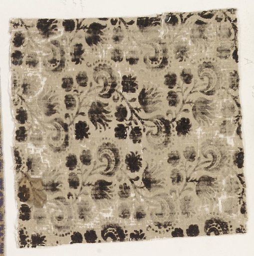 Fragment