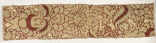 Fragment
