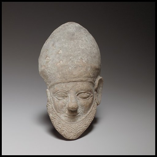 Bearded male head
