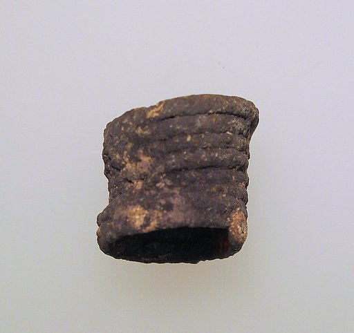 Silver earring or spiral