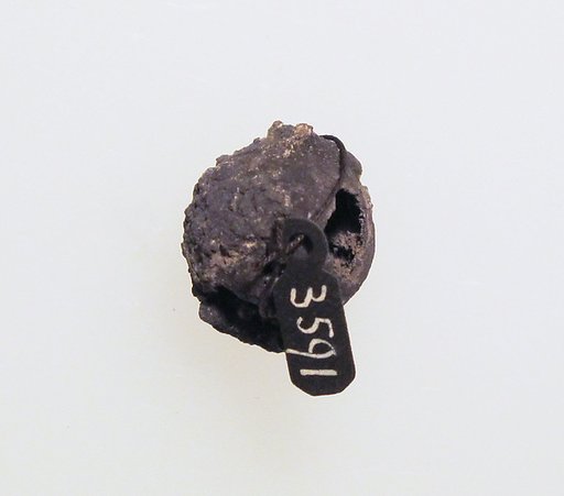 Bead