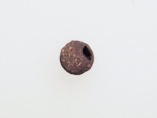 Bead