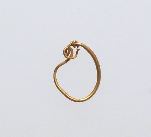 Earring-loop type