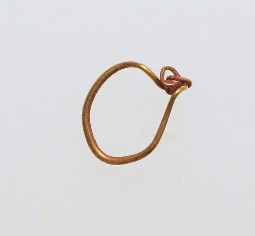 Earring-loop type