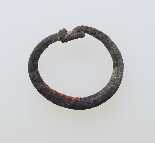 Earring-loop type