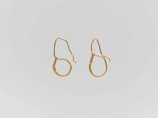 Gold earring with ring and hook