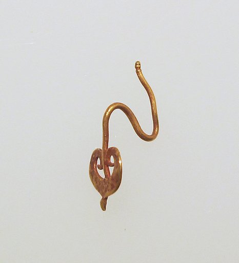 Earring-hook type