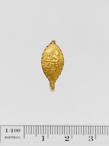 Gold and enamel ring