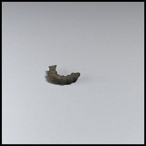Fibula, fragment