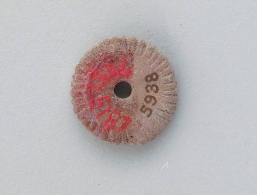 Faience bead