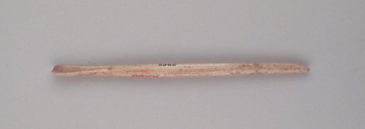 Bone ear pick