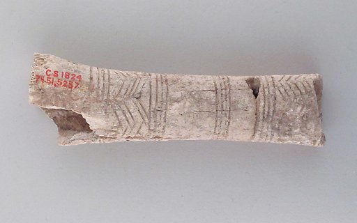 Bone handle