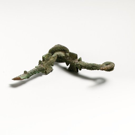 Fibula, fragment
