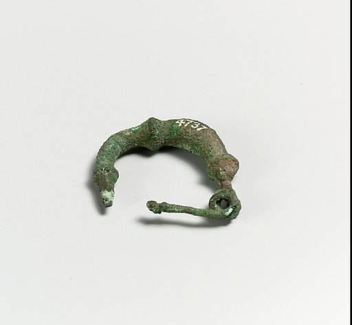 Fibula