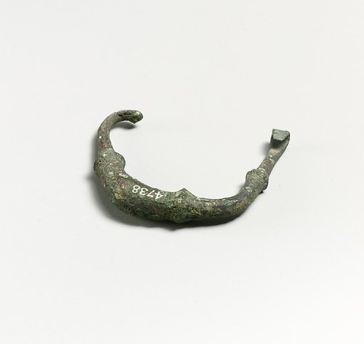 Fibula, fragment