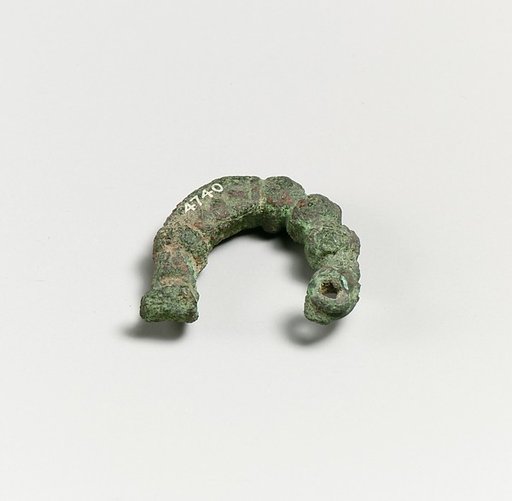 Fibula, fragment