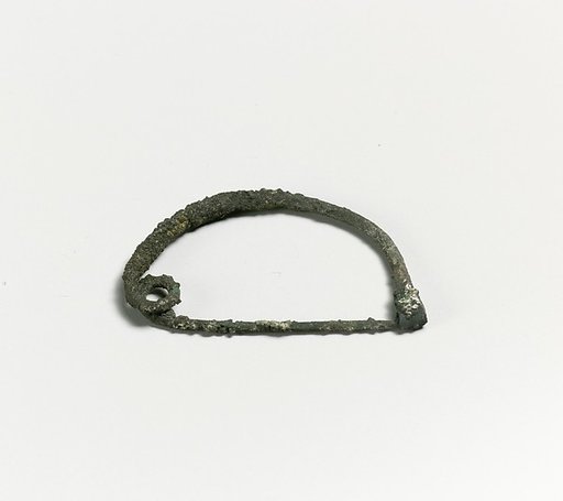 Fibula