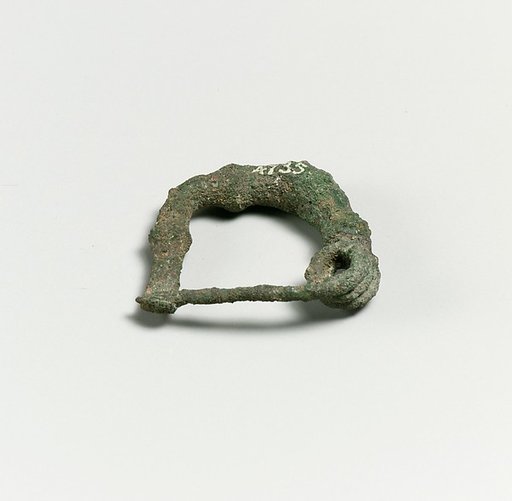 Fibula