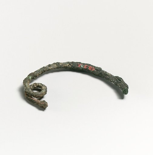 Fibula