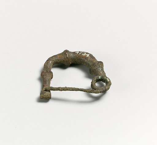 Fibula