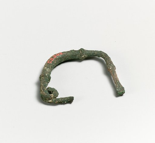 Fibula