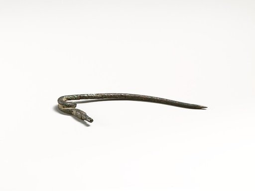 Fibula