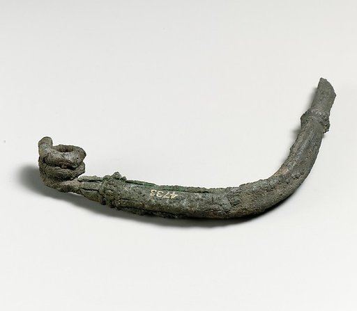Fibula