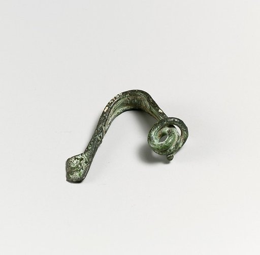 Fibula