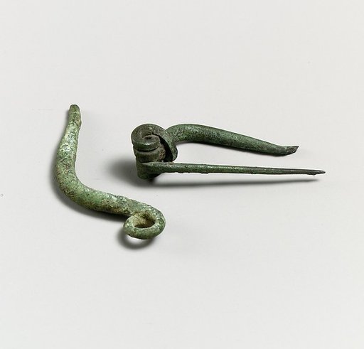 Fibula