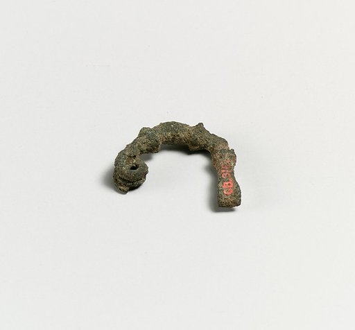 Fibula
