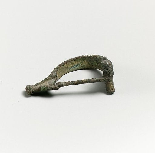 Fibula