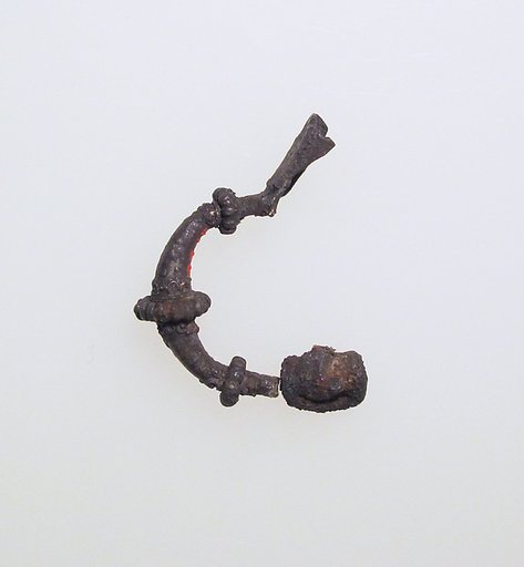 Fibula