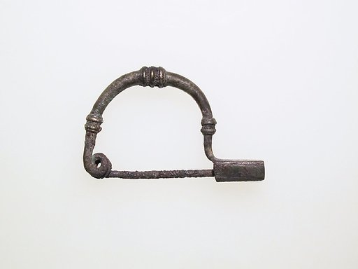 Fibula, bow-shaped
