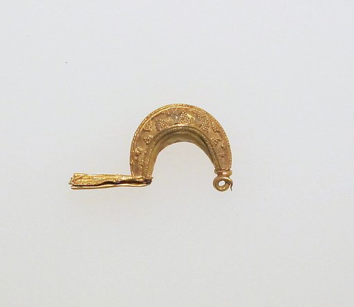 Fibula, bow-shaped