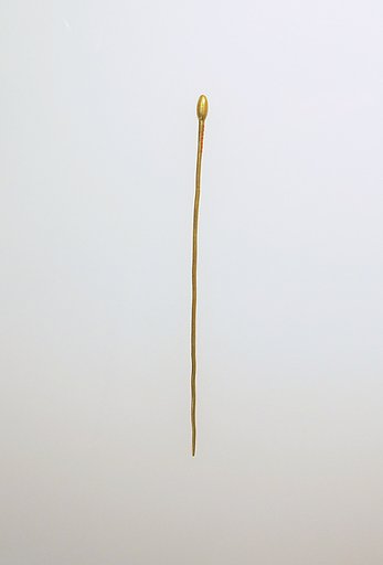 Pin