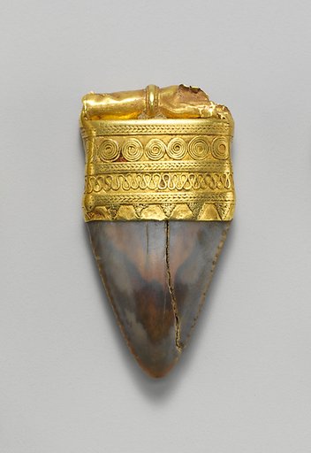 Tooth pendant set in gold