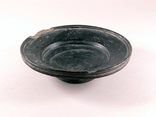Dish