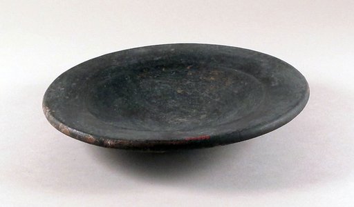 Dish