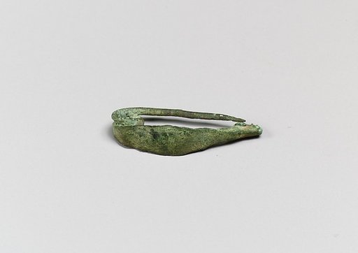 Fibula