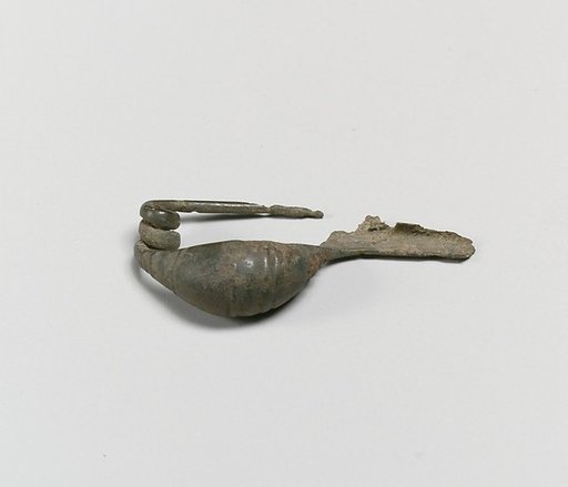 Fibula
