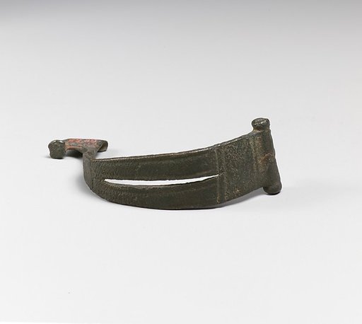 Fibula