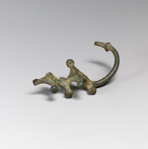 Fibula, serpentine type