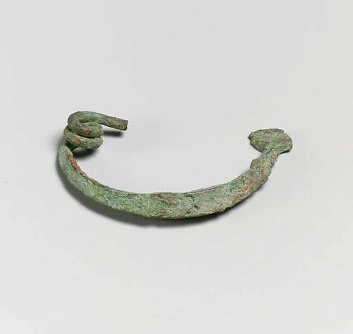 Fibula, semi-circular type