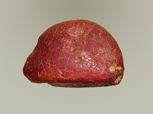 Amber from bow of a fibula (safety pin)