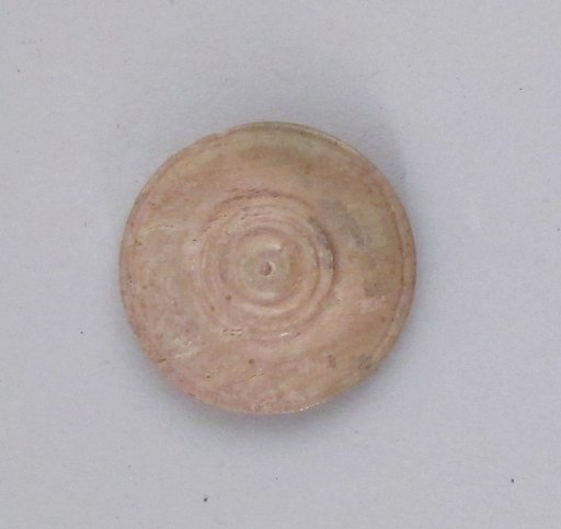 Disk or button