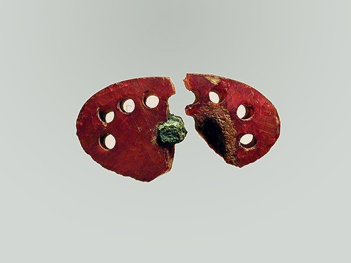 Fibula, fragment