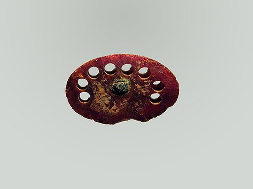 Fibula, fragment