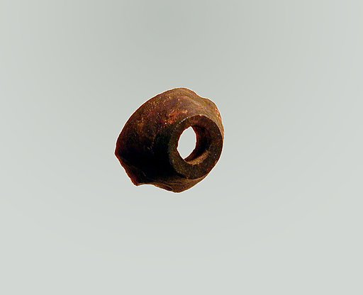 Fibula, fragment